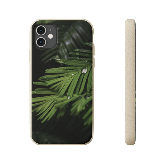 Fern Drops | Bamboo Biodegradable Cases (iPhone 16, 15, 14, 13, 12, 11) Sustainable Ocean Phone Case Eco-Friendly Plant