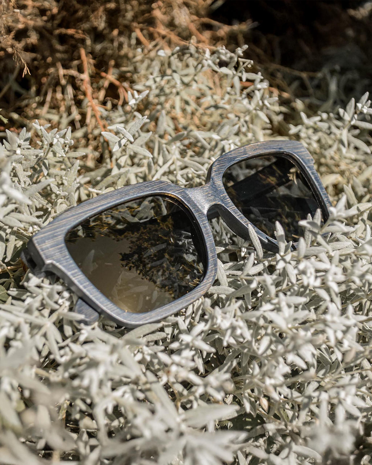 Jay Bird | Polarized Bamboo Sunglasses